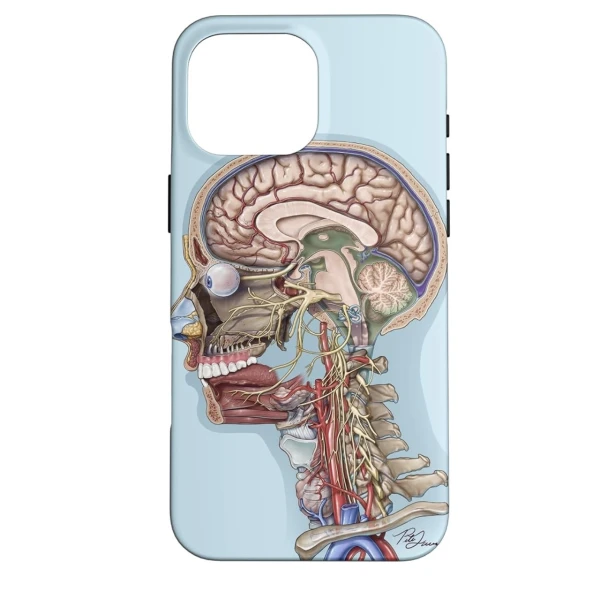 Funda de TPU Rígido con diseño de anatomía de cabeza y cuello para Iphone 15 Pro Max - Color Azul / Negro's foto | La Gran Manzana |  BizneCubano